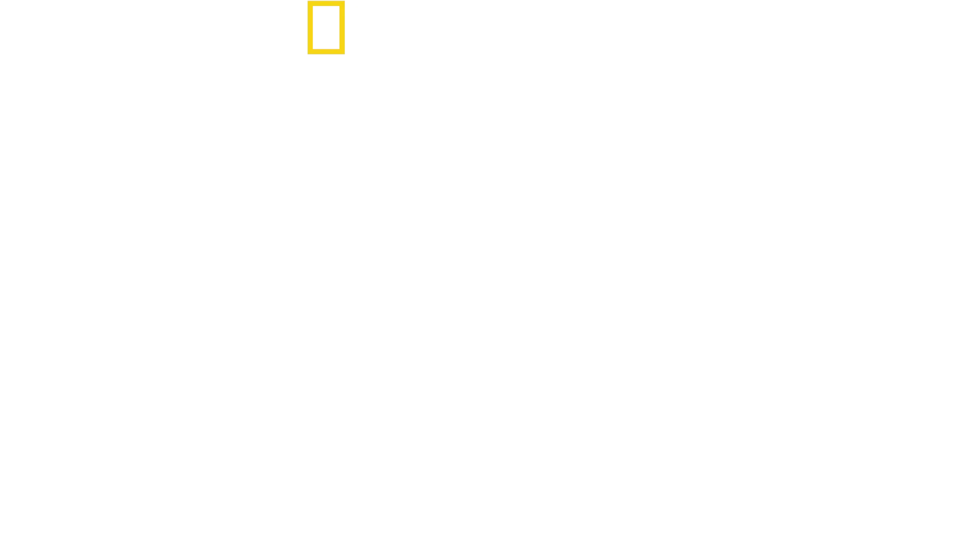 Sharks Up Close with Bertie Gregory