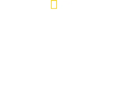Sharks Up Close with Bertie Gregory