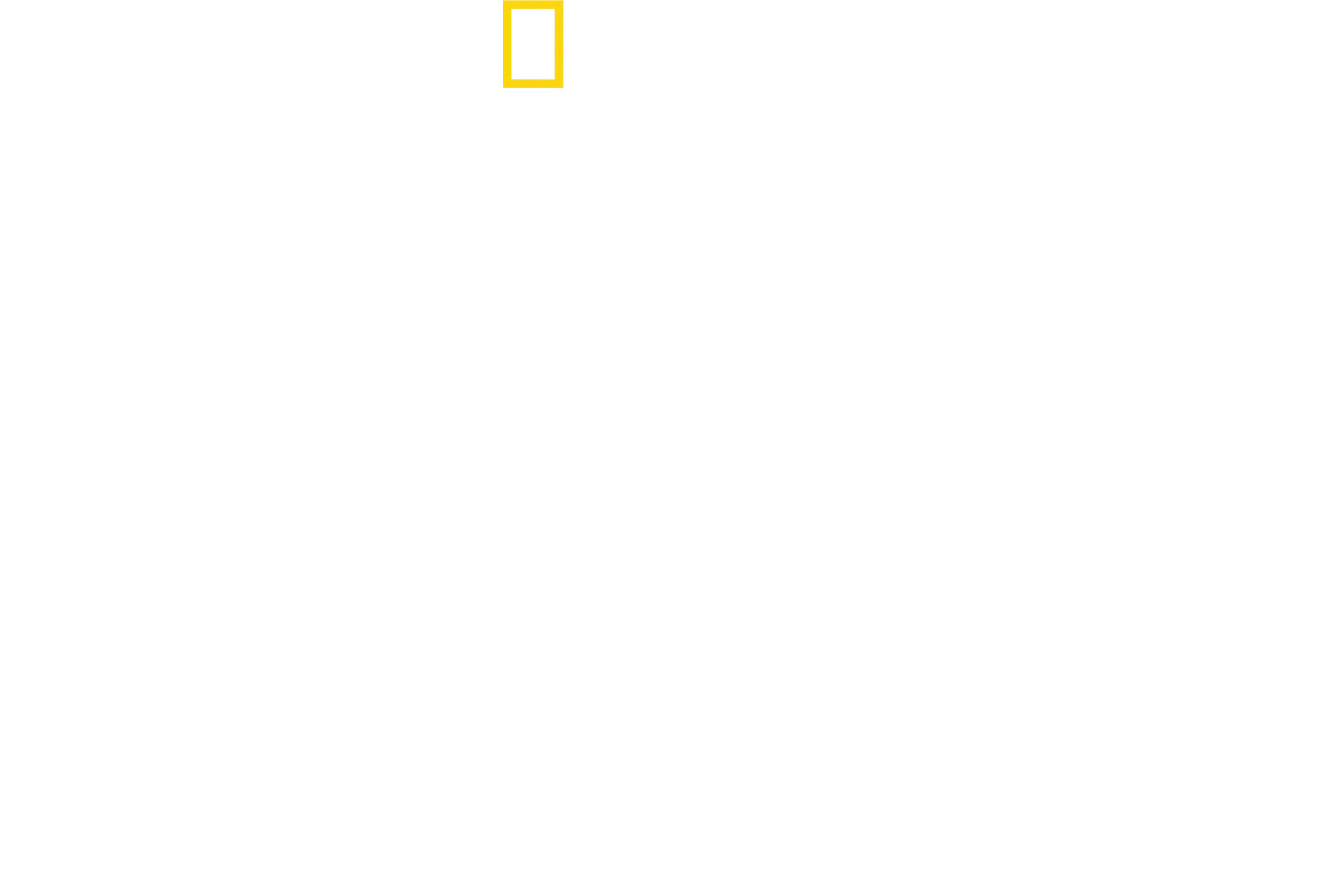 Sharks Up Close with Bertie Gregory