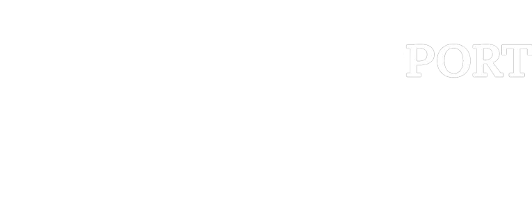 En føråpningsrapport fra Disneyland