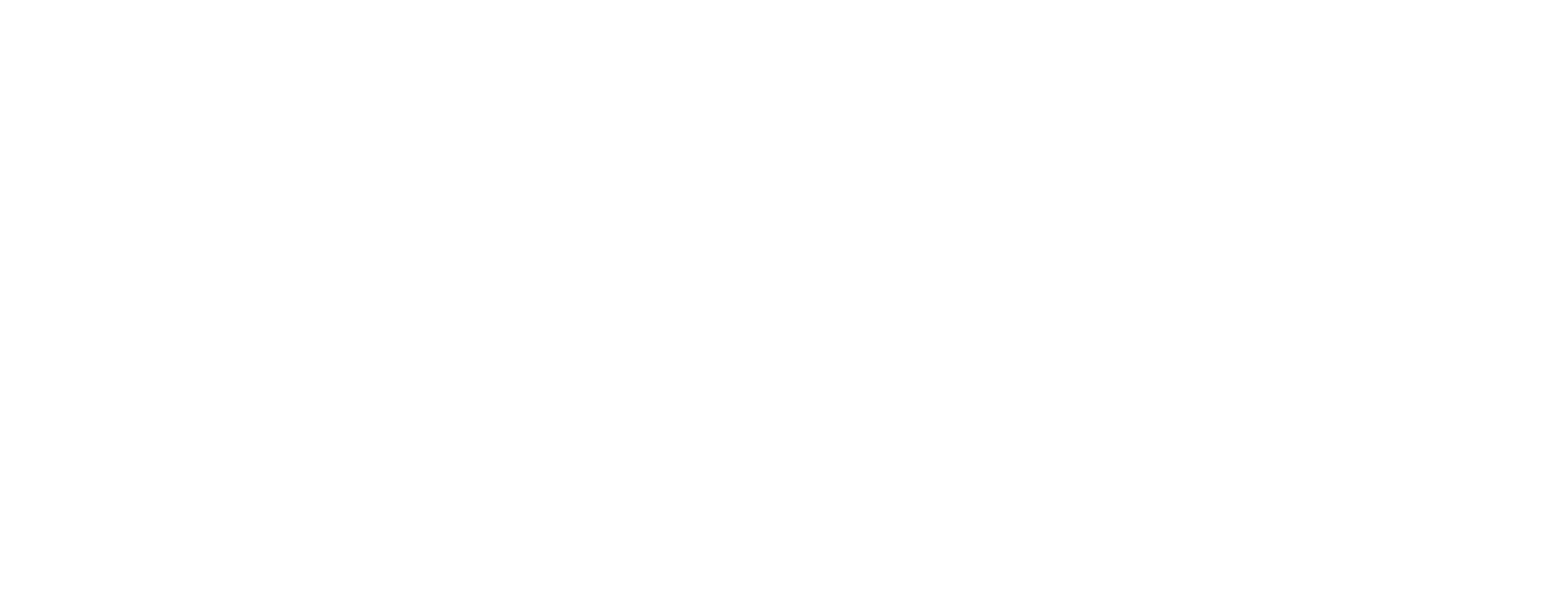En føråpningsrapport fra Disneyland