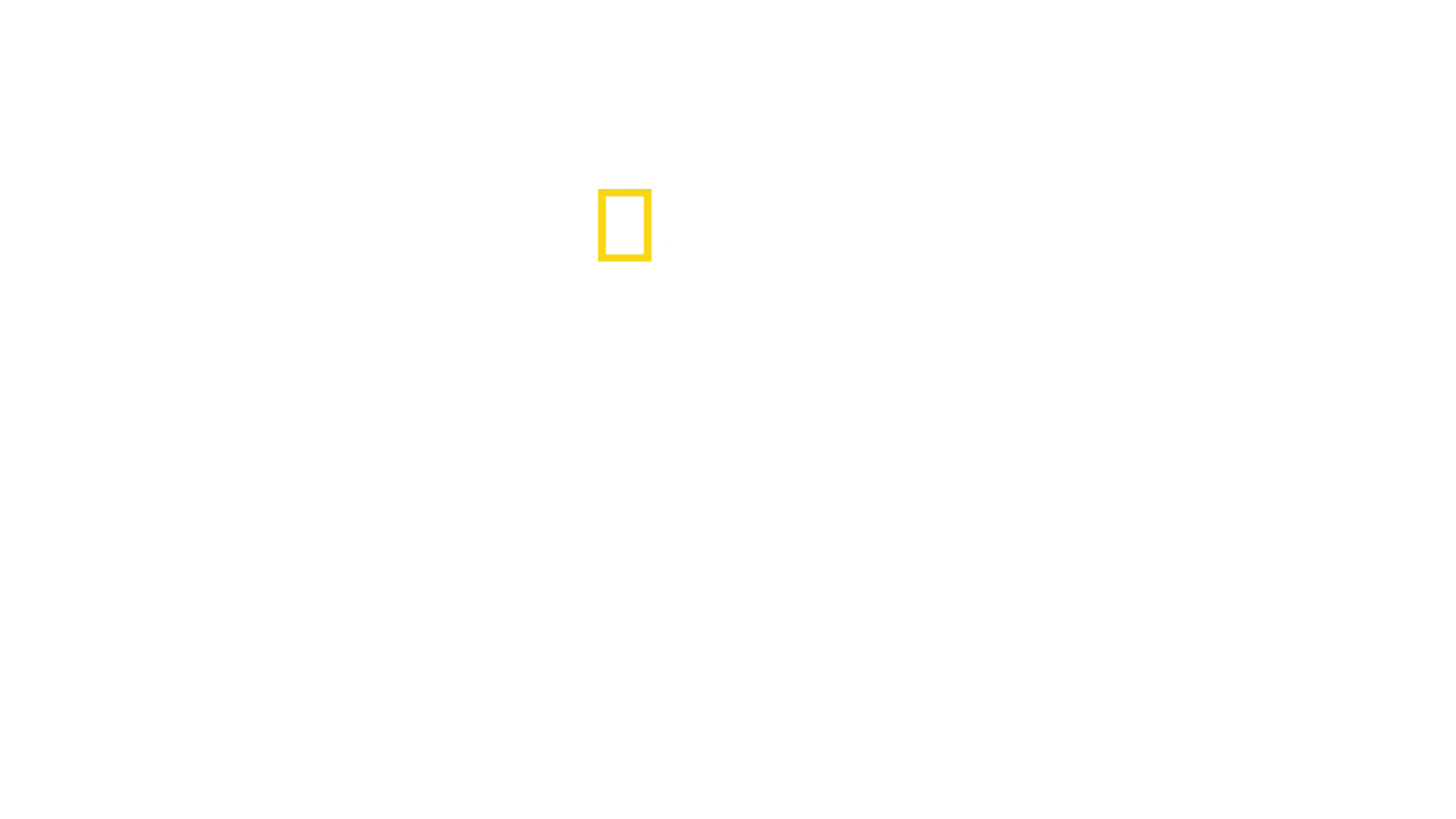 Pohotovosť pre exotické zvieratá