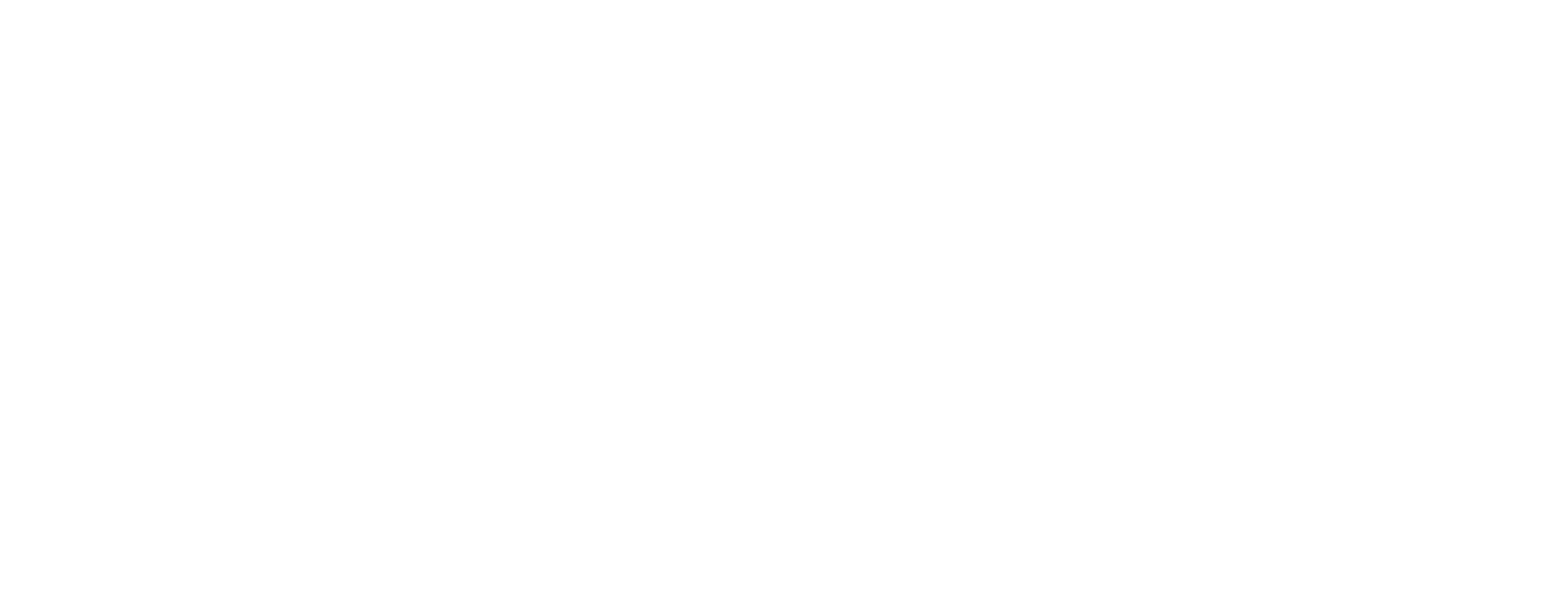 アニタ：ディレクターズカット