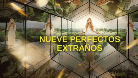 thumbnail - Nueve perfectos desconocidos
