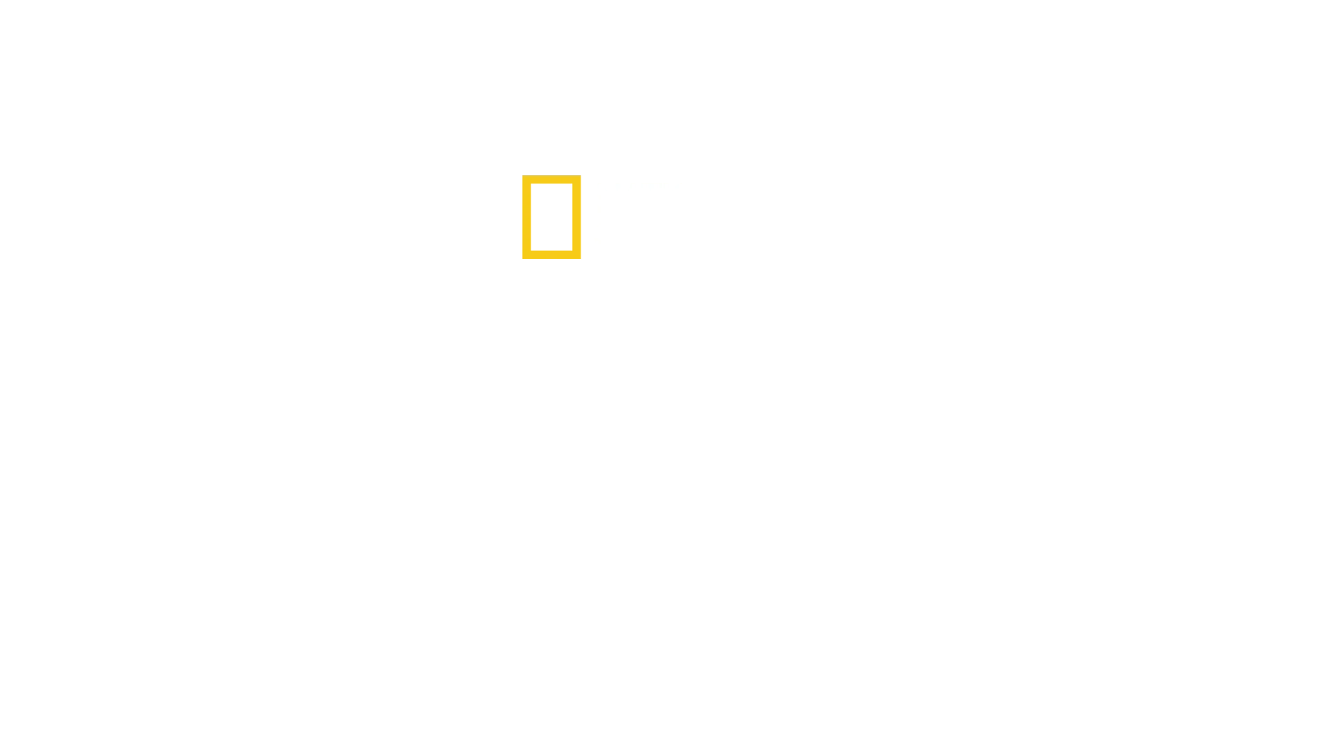 Teritórium