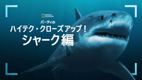 thumbnail - バーティのハイテク・クローズアップ！シャーク編