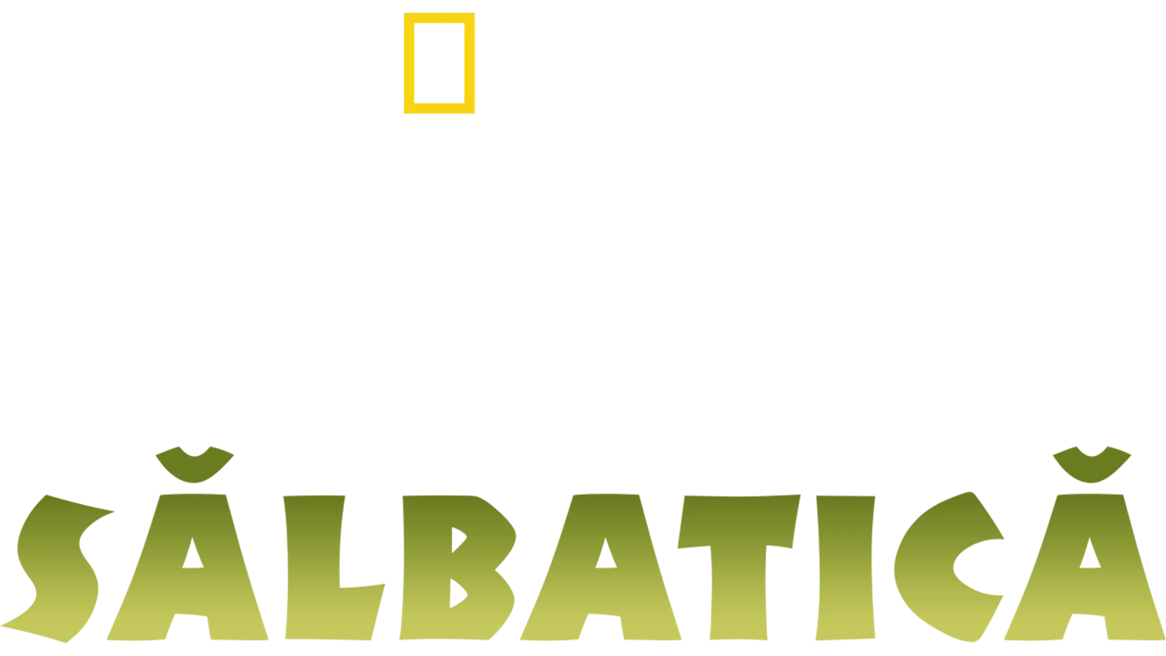 India sălbatică