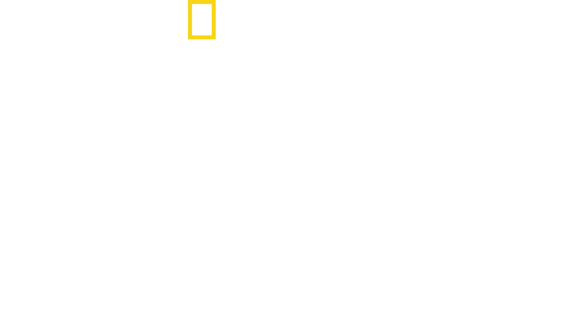 Inifrån Nordkorea: då och nu