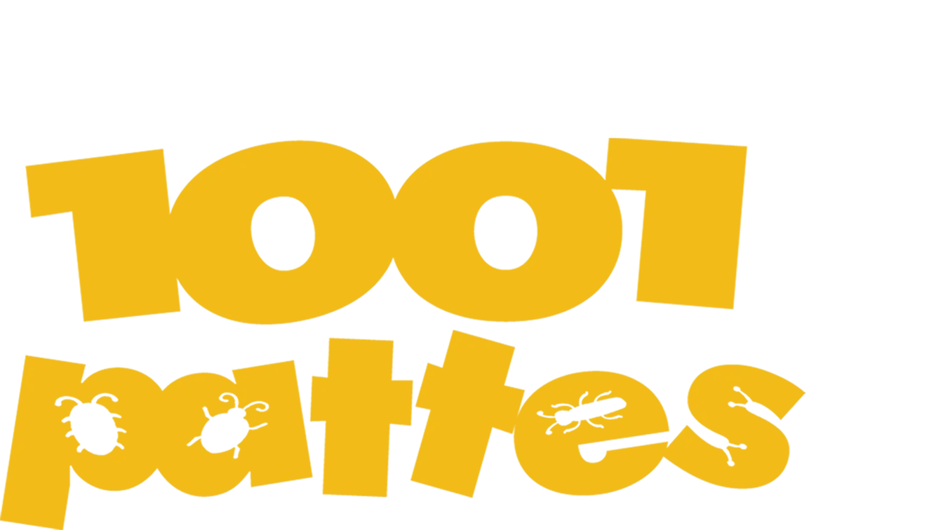 1001 pattes