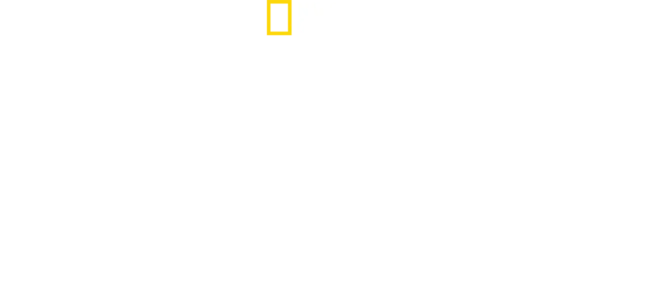 Çitaların Arasında
