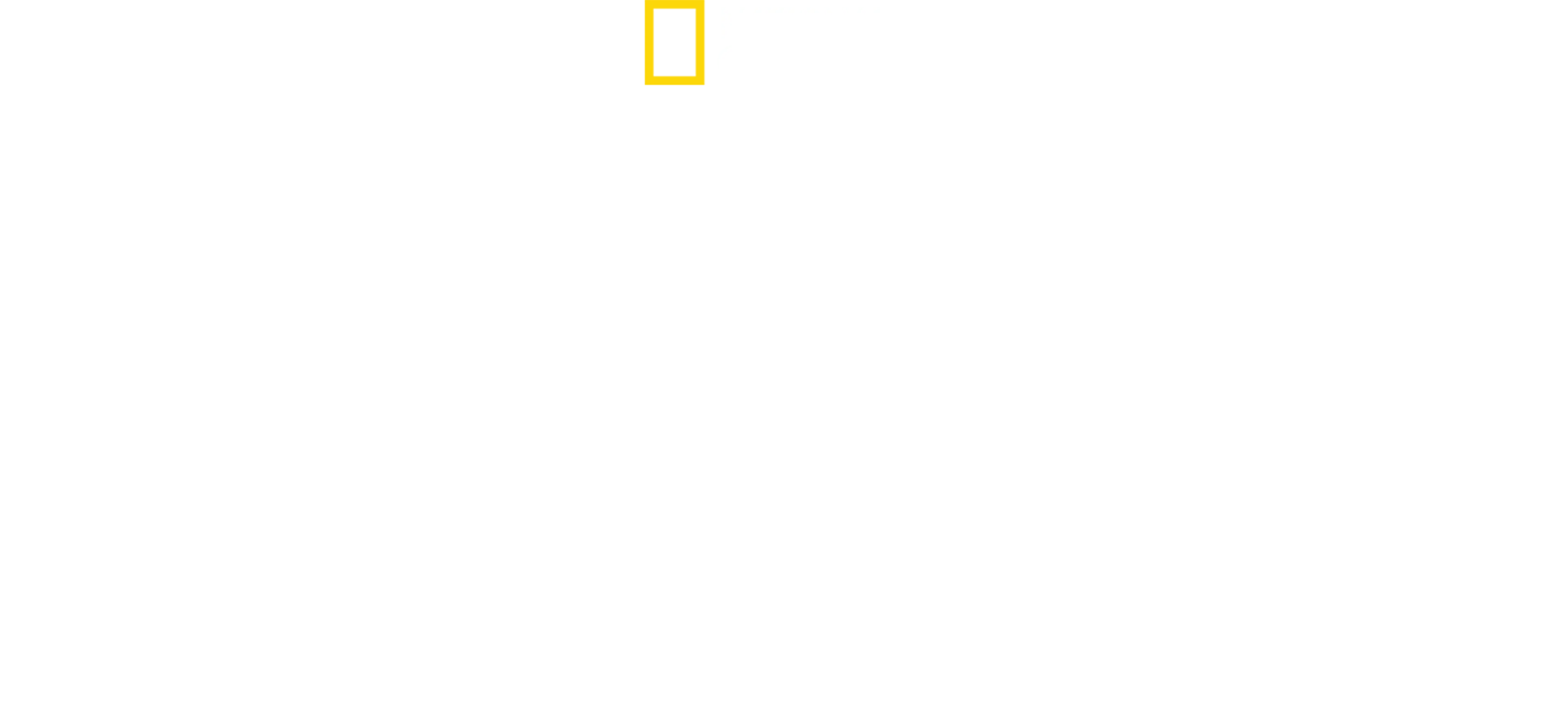 Çitaların Arasında
