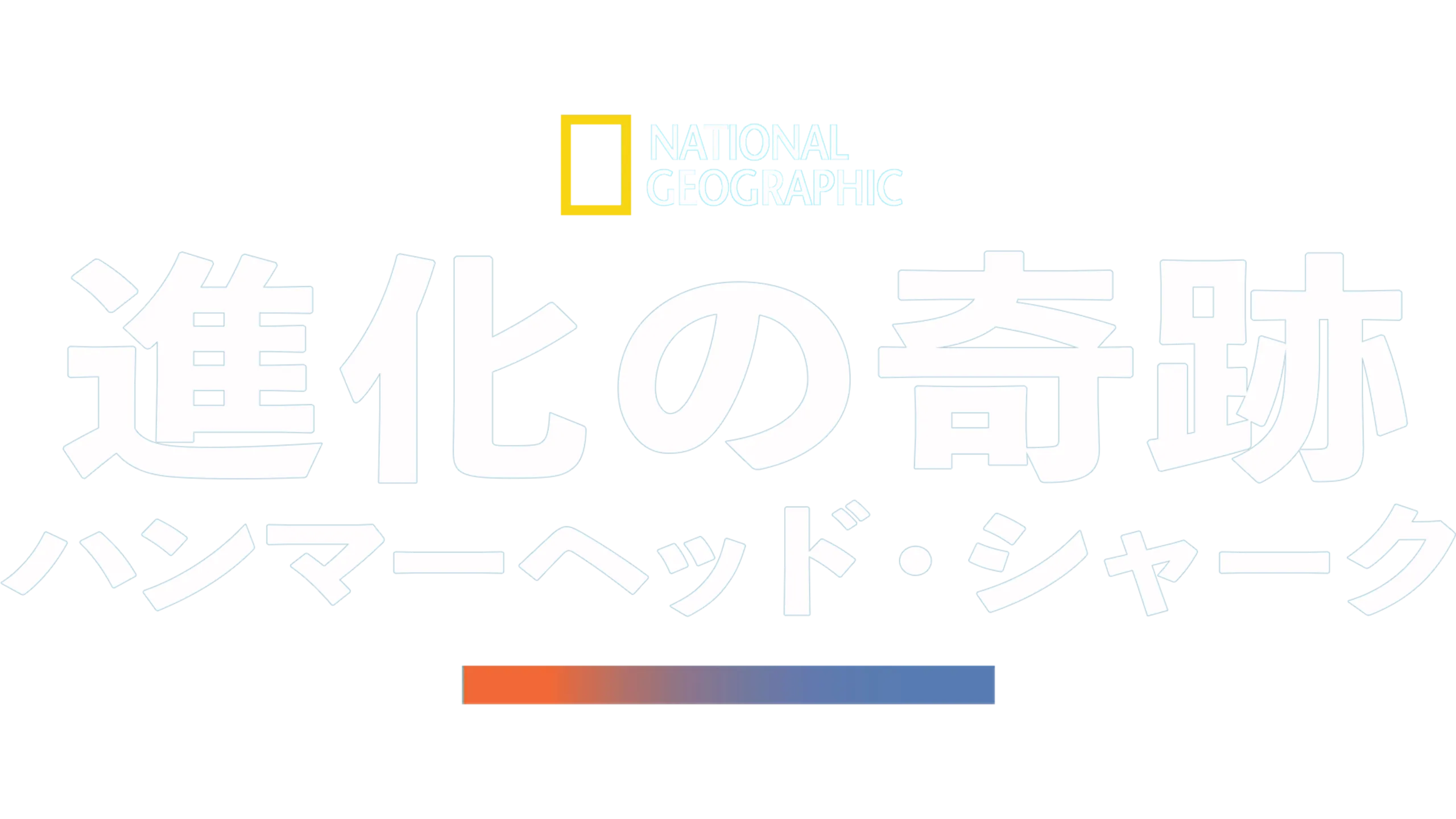 進化の奇跡：ハンマーヘッド・シャーク