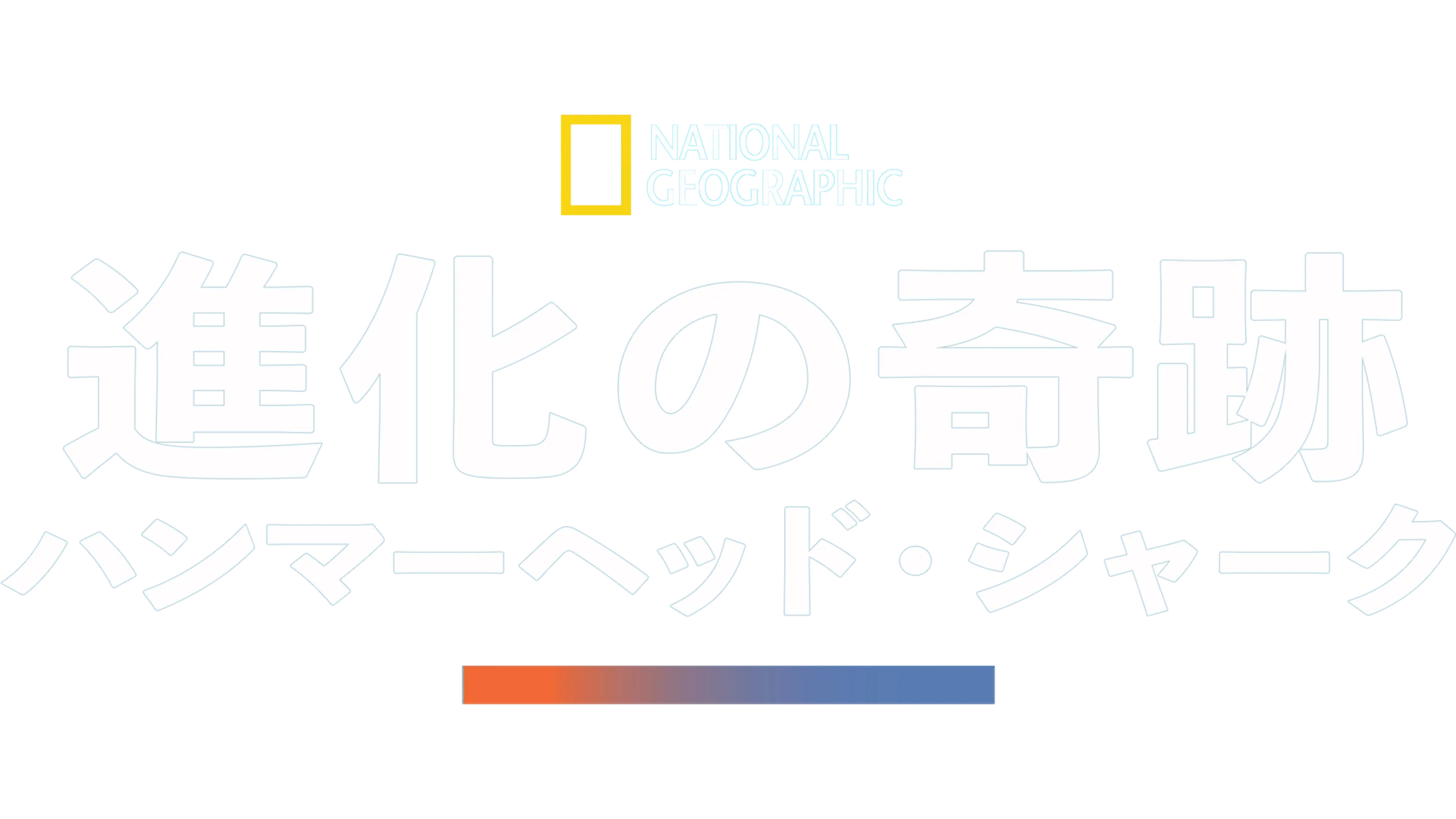 進化の奇跡：ハンマーヘッド・シャーク