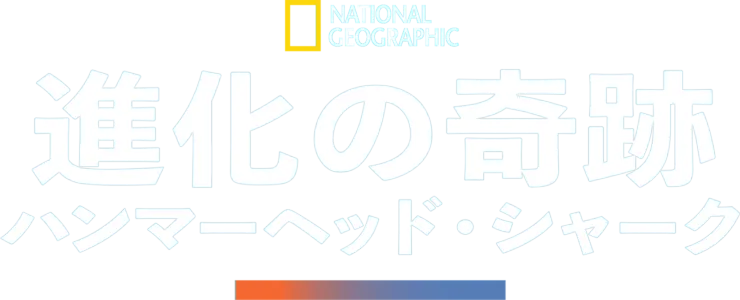 進化の奇跡：ハンマーヘッド・シャーク
