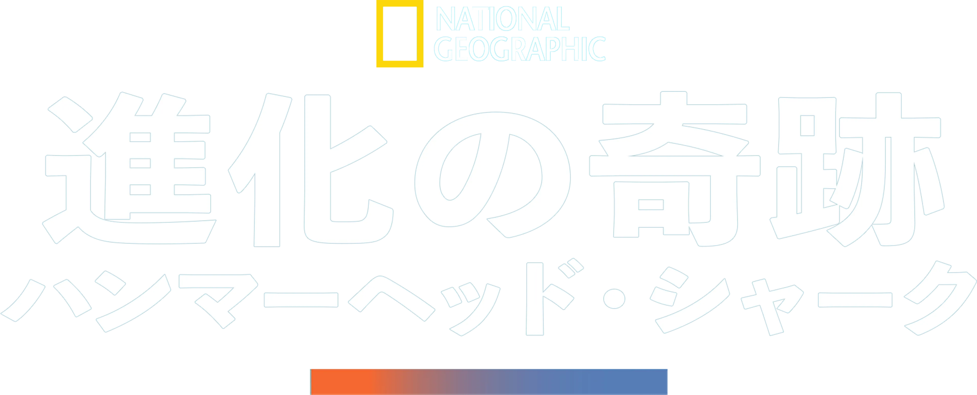 進化の奇跡：ハンマーヘッド・シャーク