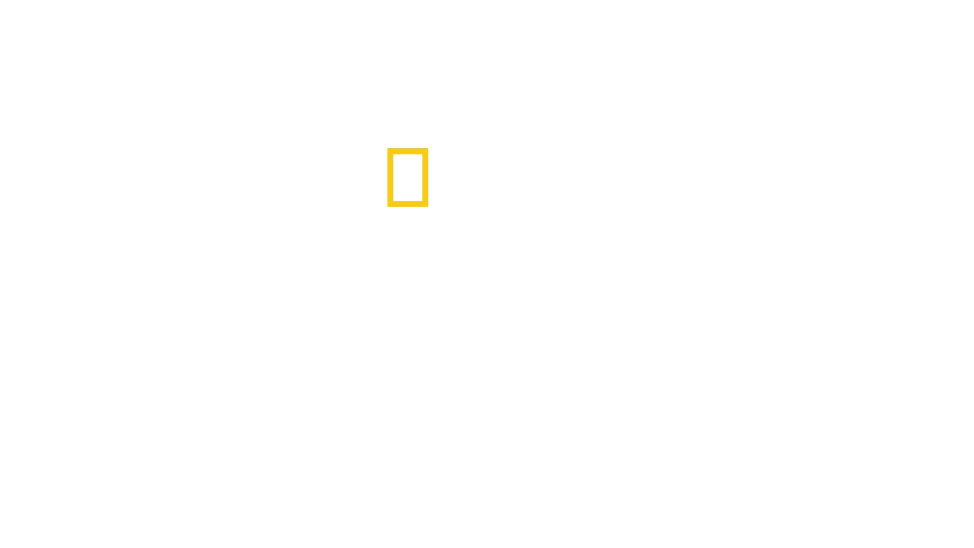 Terytorium
