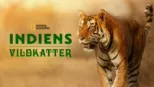 thumbnail - Indiens vildkatter
