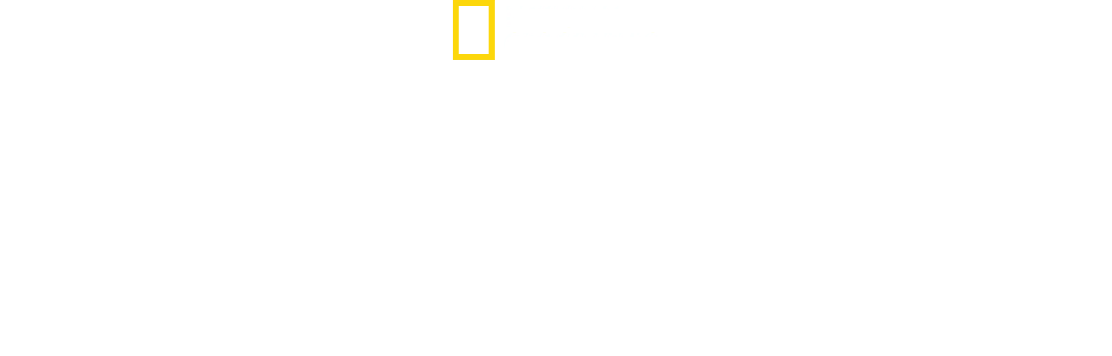 Juego de Tiburones