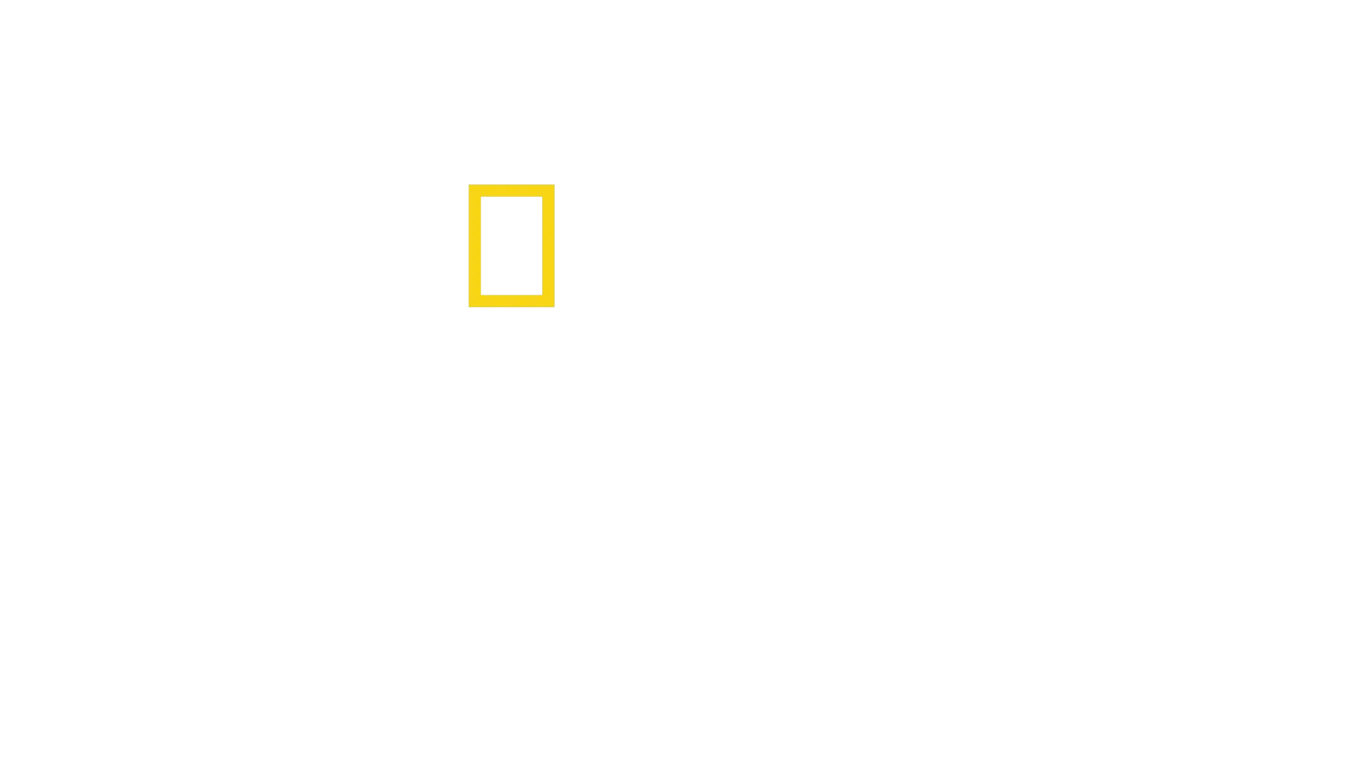 Der weiße Hai: Die Geschichte hinter dem Blockbuster