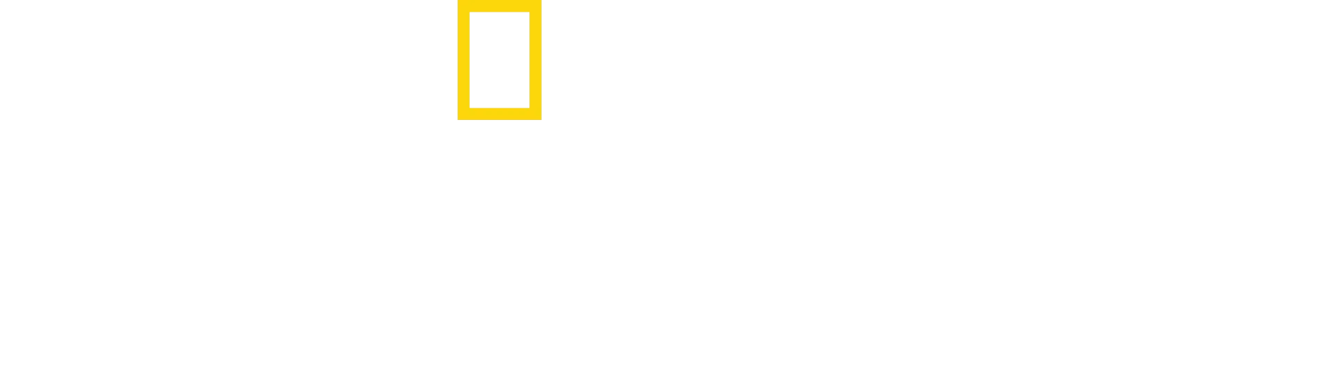 Der weiße Hai: Die Geschichte hinter dem Blockbuster