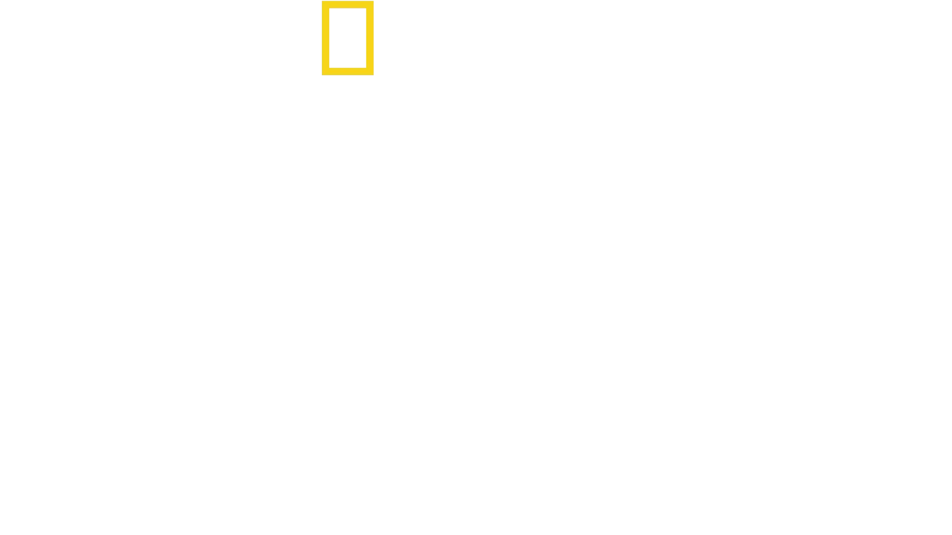 国境なき厨房 トップシェフの救済活動