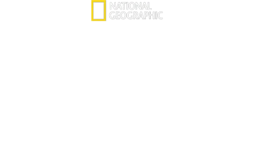 国境なき厨房 トップシェフの救済活動