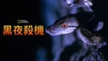 thumbnail - 黑夜殺機