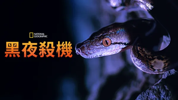 thumbnail - 黑夜殺機