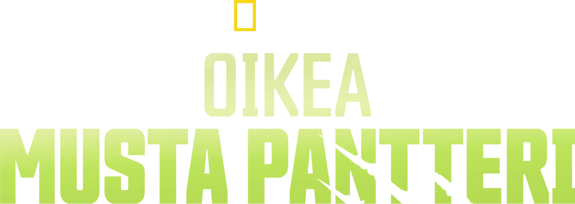 Oikea musta pantteri