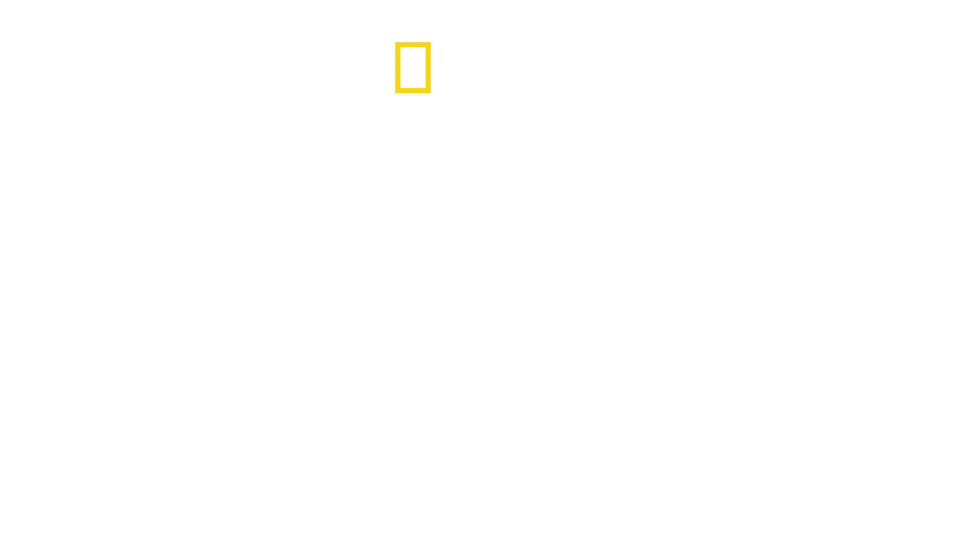 Den lilla jätten