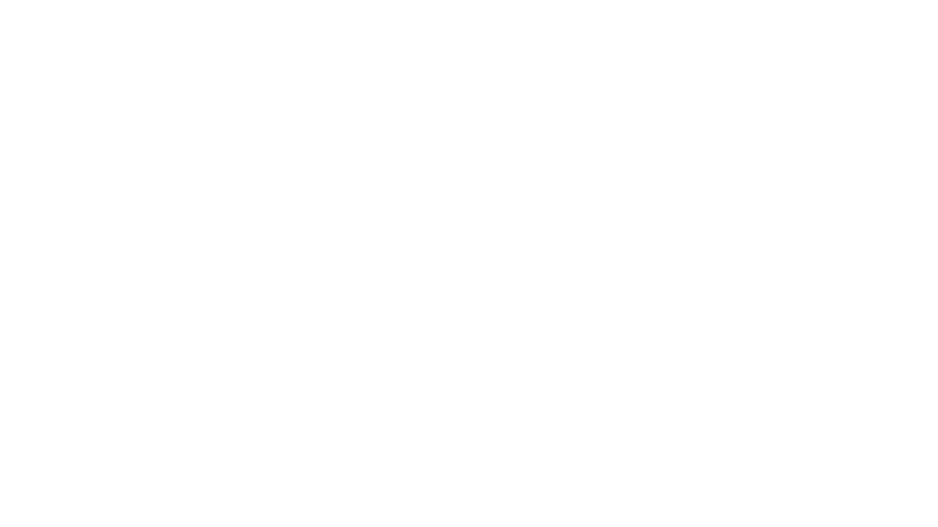 Der Kommissar und der See - Narrenfreiheit