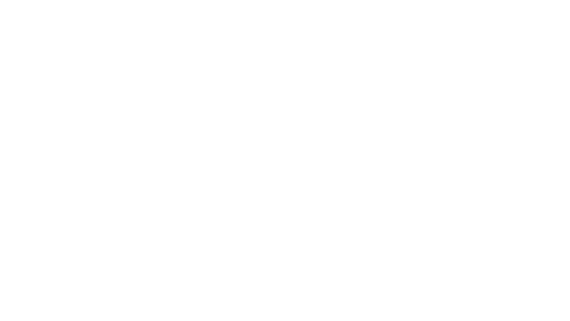 Puppy for Hanukkah