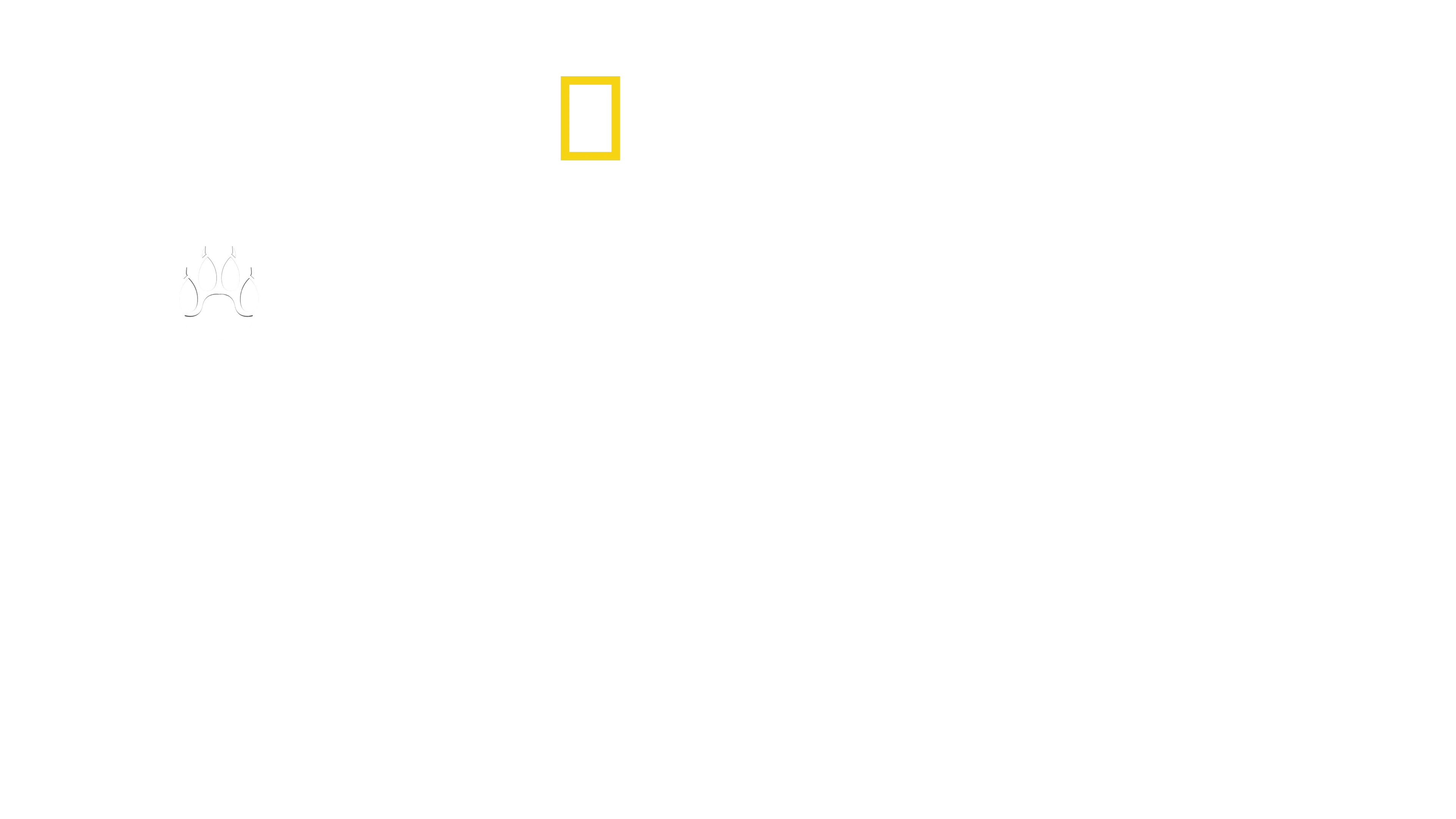 Hombre entre Chitas