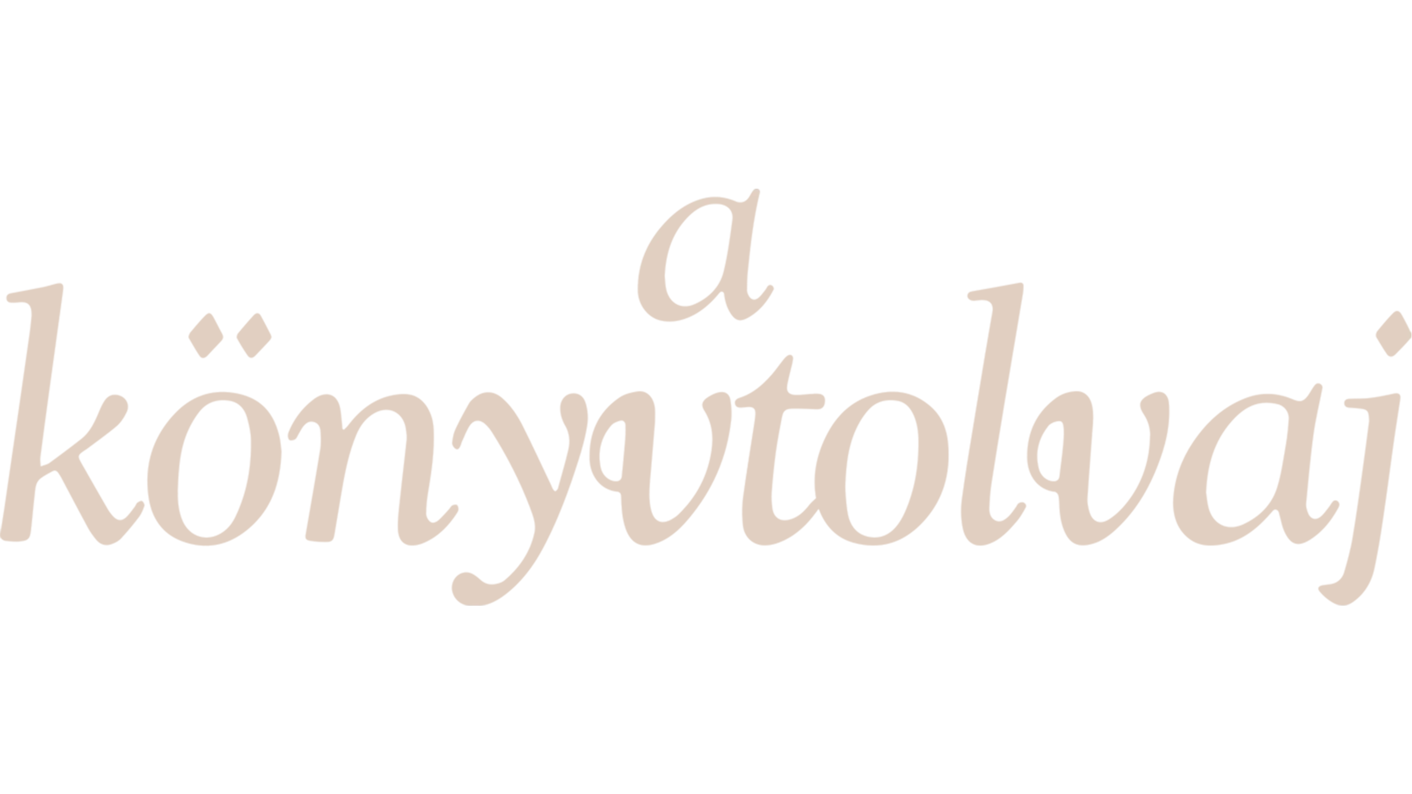 A könyvtolvaj