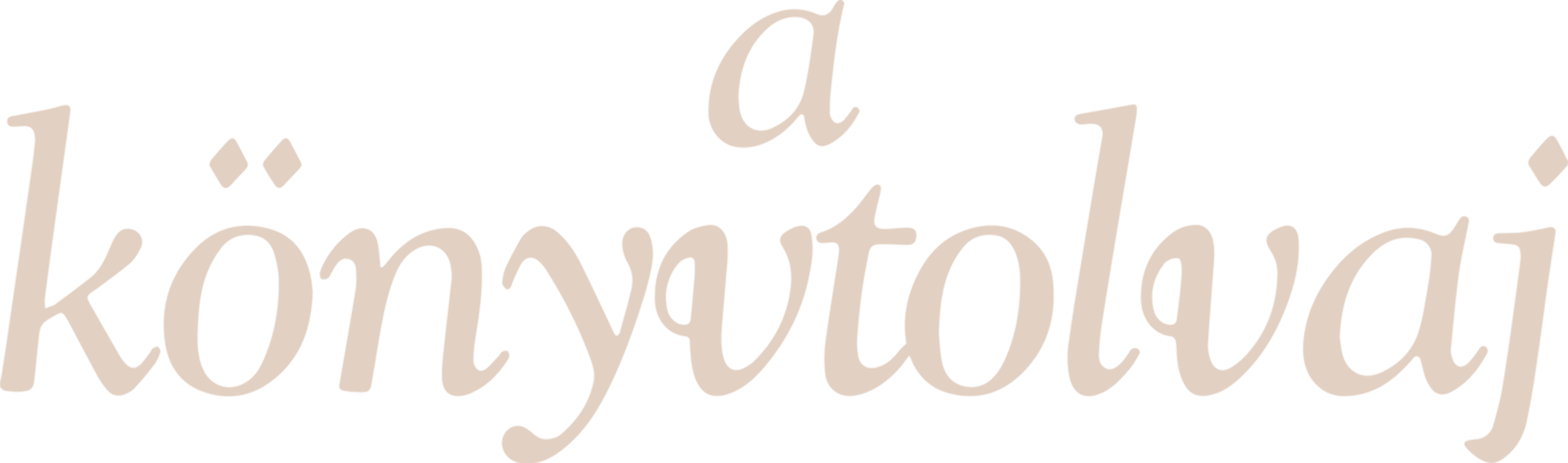 A könyvtolvaj