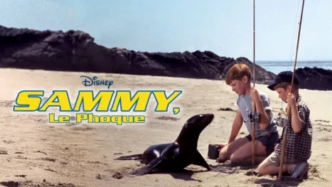 thumbnail - Sammy, le phoque