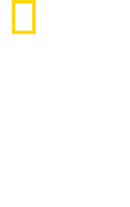 美國綠色行動