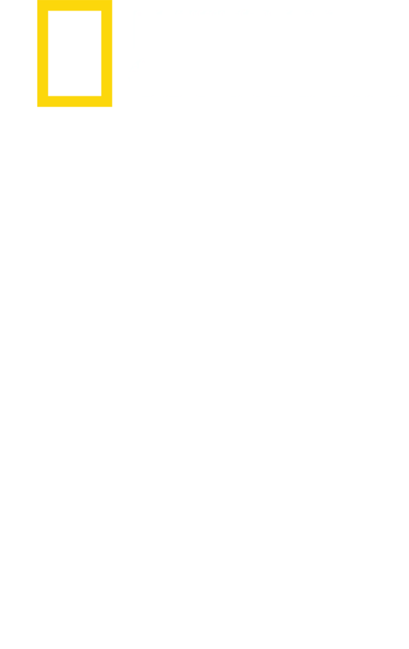 美國綠色行動