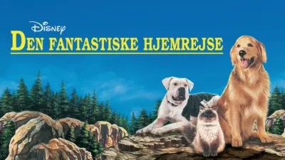 Den fantastiske hjemrejse