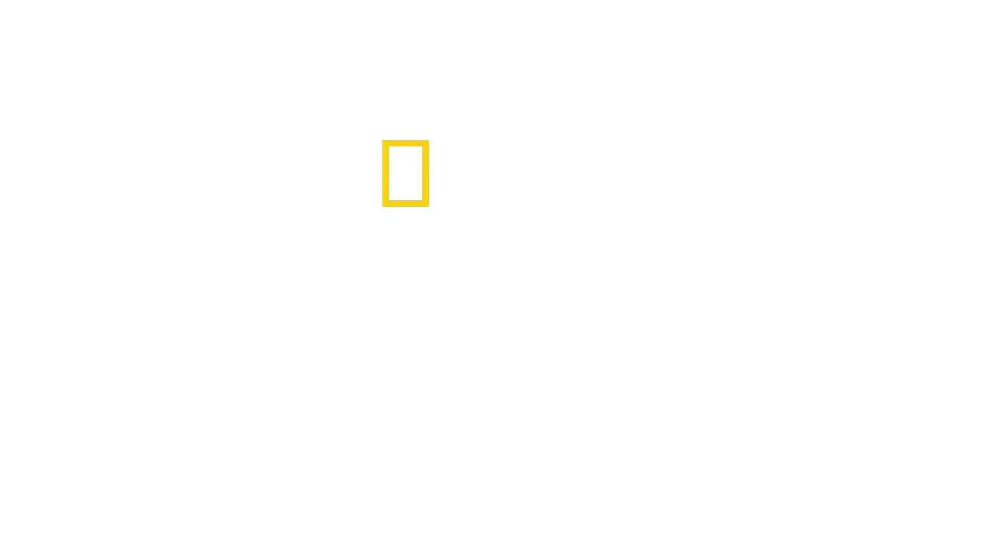 Teknologiens evolution
