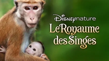 thumbnail - Le Royaume des singes