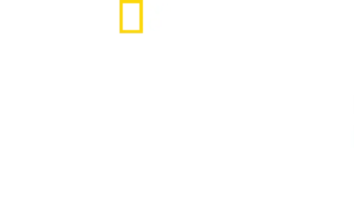 Shark Beach with Anthony Mackie: Gulf Coast