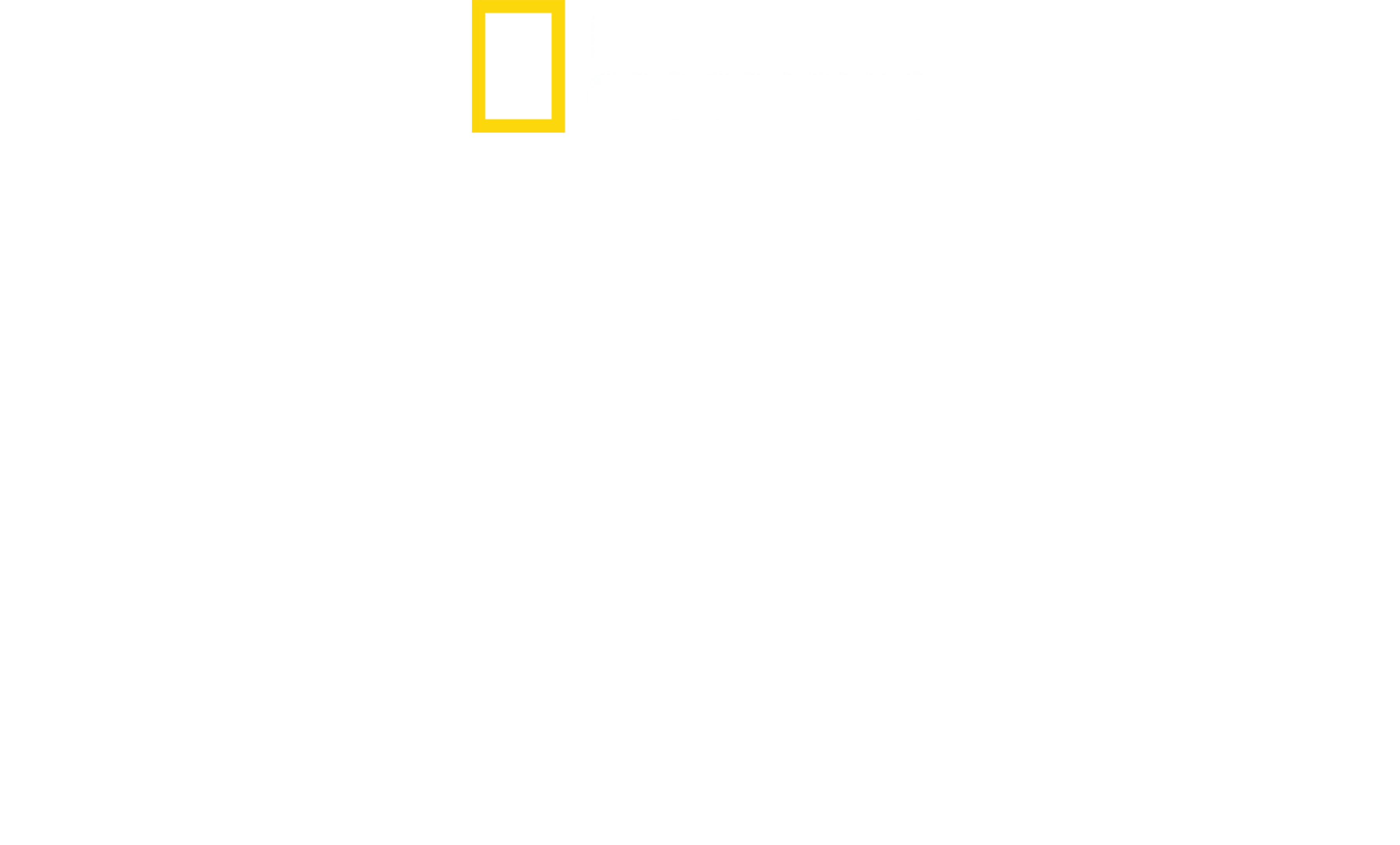 Shark Beach with Anthony Mackie: Gulf Coast
