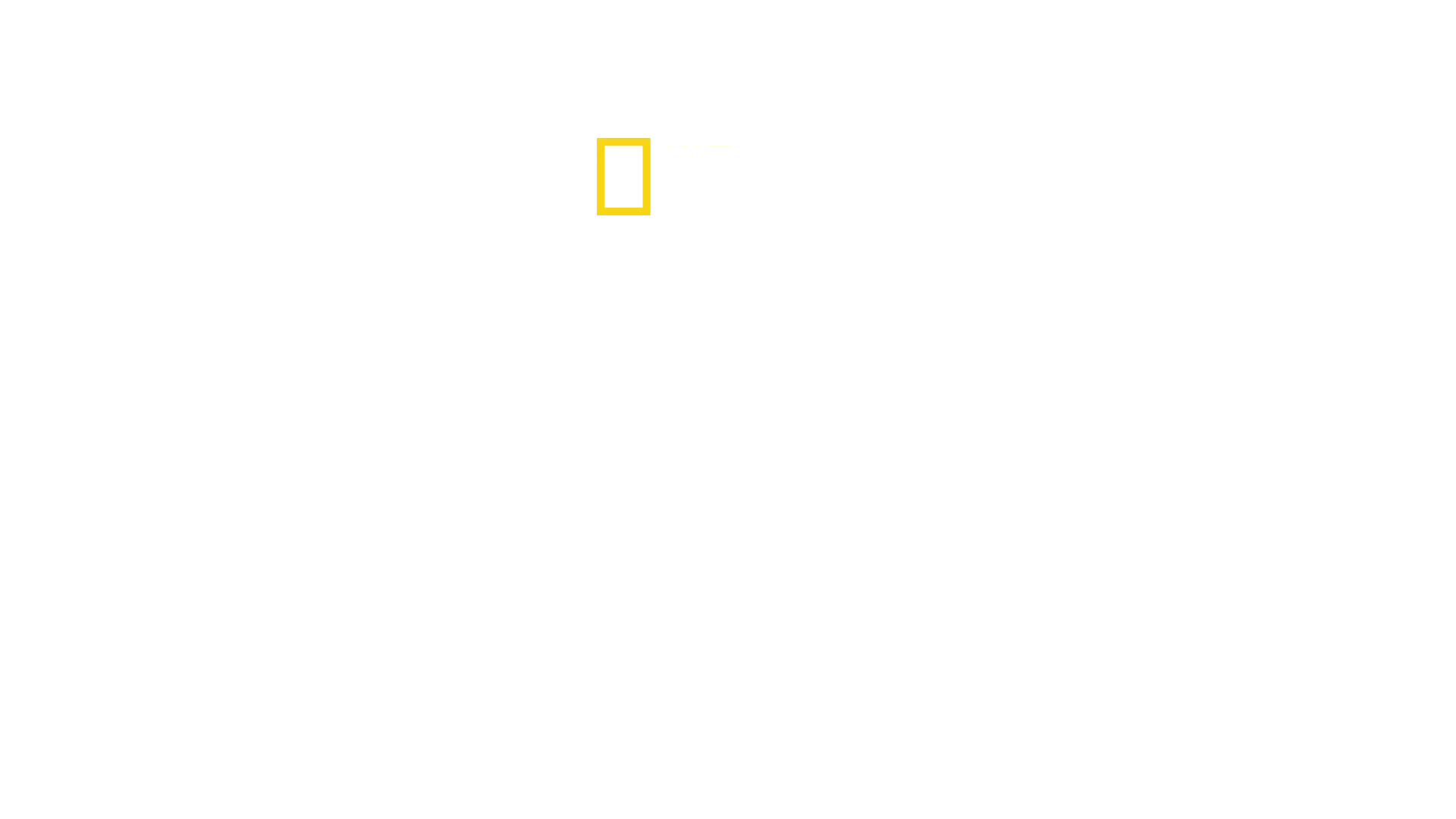 Regno selvaggio