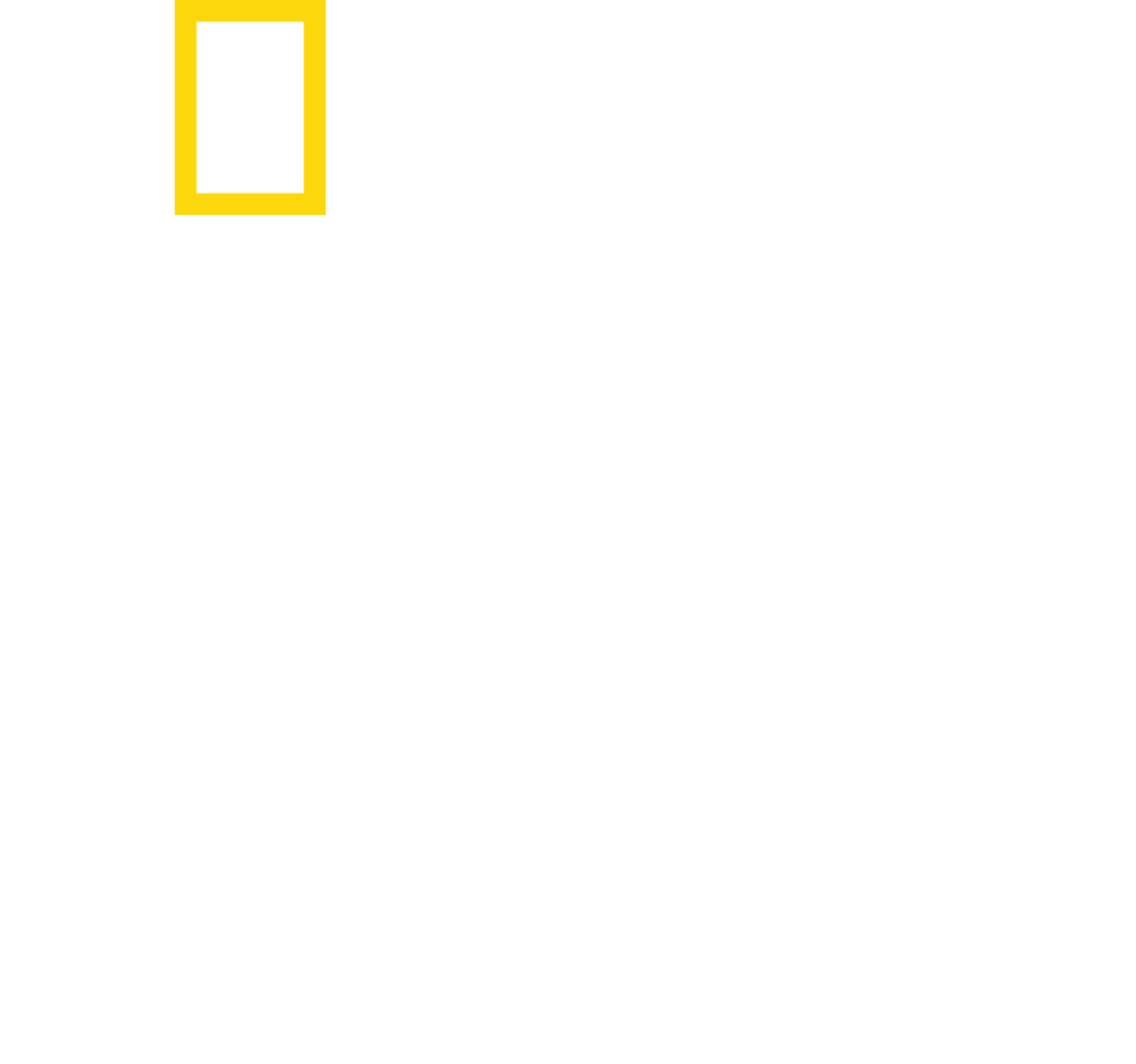 百慕大三角鲨鱼