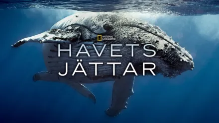thumbnail - Havets jättar