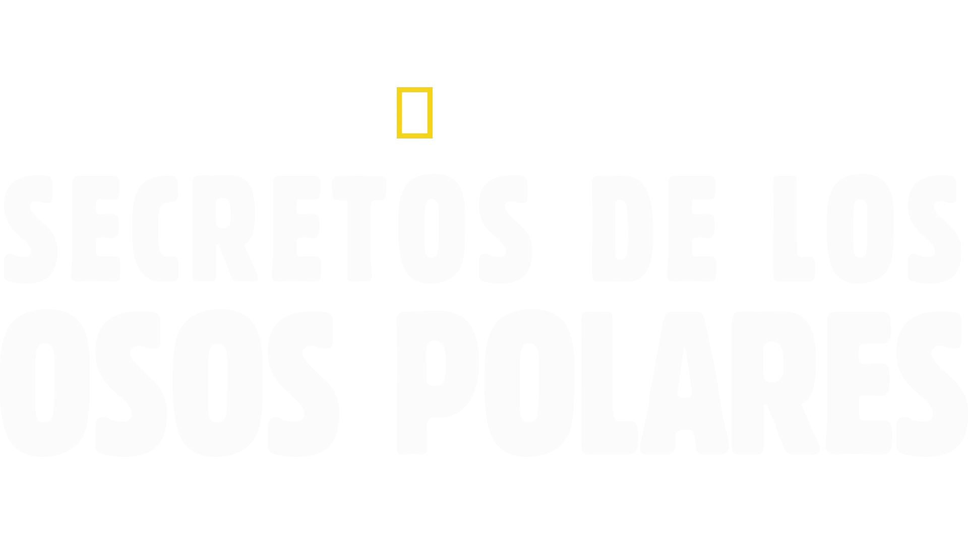 Secretos de los osos polares