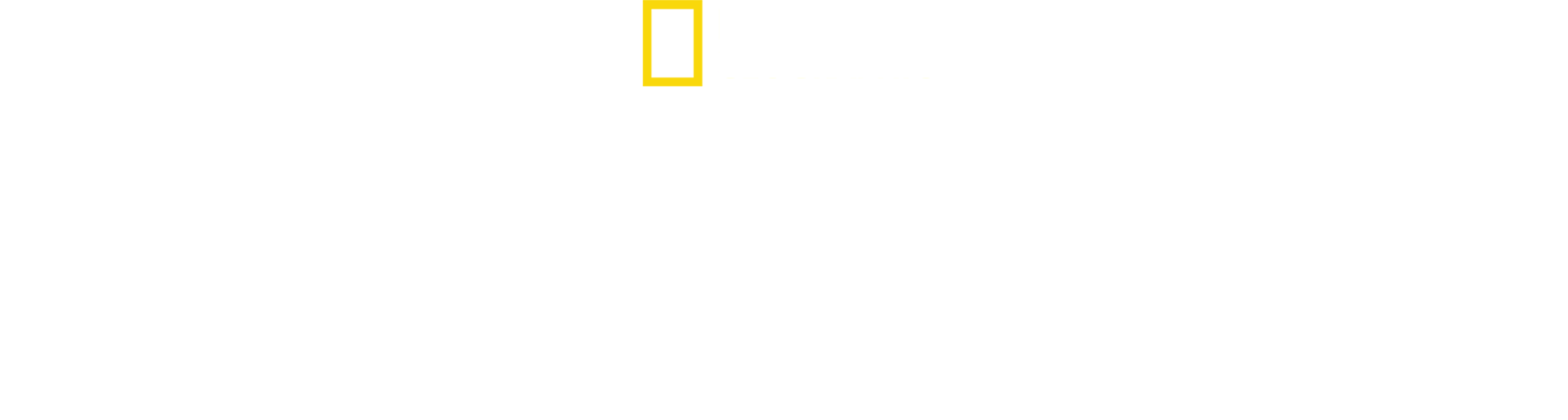 The Nightcrawlers