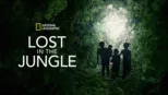 thumbnail - Lost in the Jungle