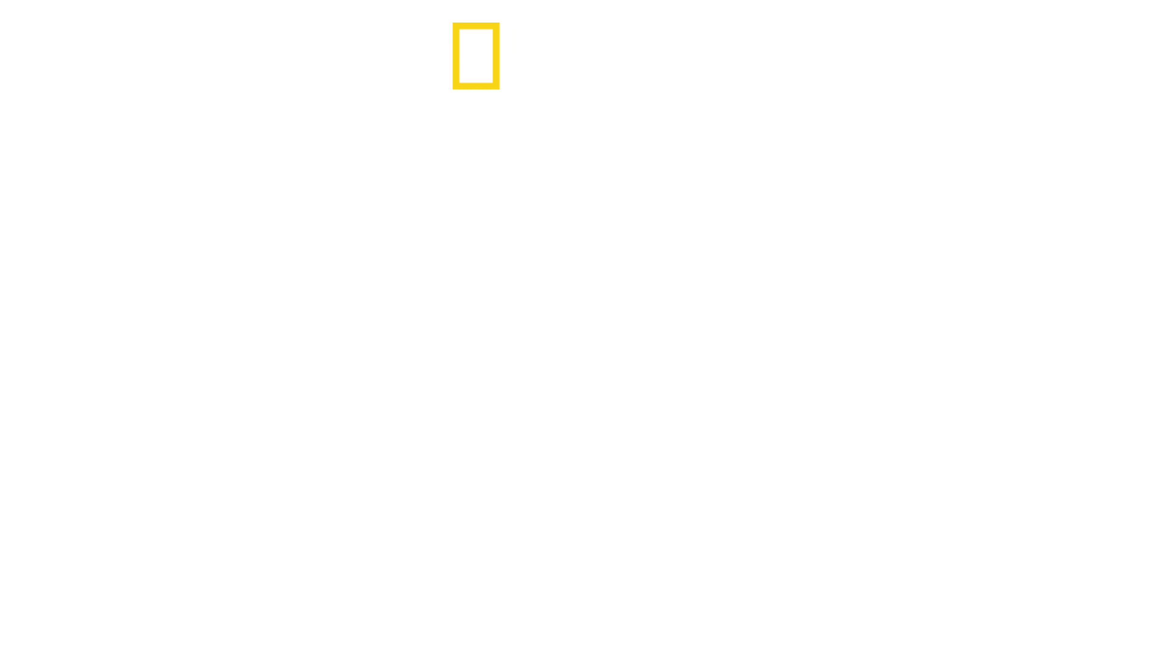 Dr. K: Urgențe exotice